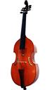 Viola
