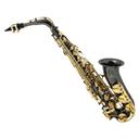 Alto Saxophone