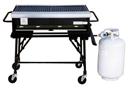 Propane BBQ Grill