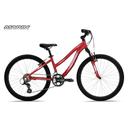 Kid's Bicycle