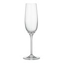 Champagne Glass