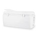 Large Ice Chest (100QT and above)